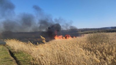 Поліцейські розслідують причини займання сухостоїв на Харківщині