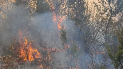 Впродовж минулої доби на Львівщині зафіксували 31 пожежу сухостою