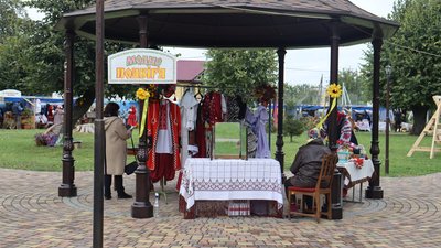На Житомирщині провели "Подушка Fest" На Житомирщині провели "Подушка Fest"