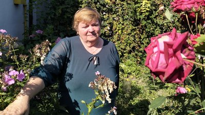 Господарює у пам'ять про померлого сина: як лучанин вирощує помідори у пеньках Господарює у пам'ять про померлого сина: як лучанин вирощує помідори у пеньках
