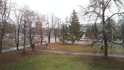 Сніг та мороз до 7 градусів: якими будуть перші дні грудня на Сумщині Сніг та мороз до 7 градусів: якими будуть перші дні грудня на Сумщині