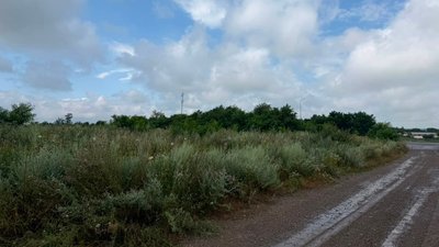 Ділянка землі у селі Стрече, яку виставили на аукціон