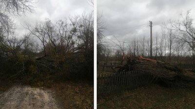 "Ситуація динамічна": ранкові знеструмлення на Рівненщині відновили, але додалися нові відключення "Ситуація динамічна": ранкові знеструмлення на Рівненщині відновили, але додалися нові відключення
