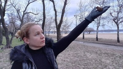 У Дніпрі випустили на волю близько 400 червонокнижних кажанів У Дніпрі випустили на волю близько 400 червонокнижних кажанів