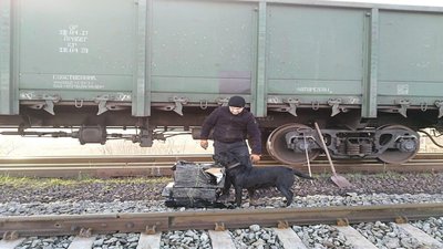 У вагонах з рудою на Львівщині знайшли контрабандні сигарети У вагонах з рудою на Львівщині знайшли контрабандні сигарети