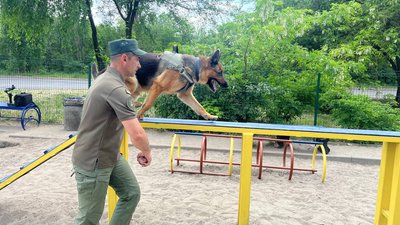 "За віддану службу": службову вівчарку Джека з Кривого Рогу нагородили медаллю перед виходом на пенсію "За віддану службу": службову вівчарку Джека з Кривого Рогу нагородили медаллю перед виходом на пенсію