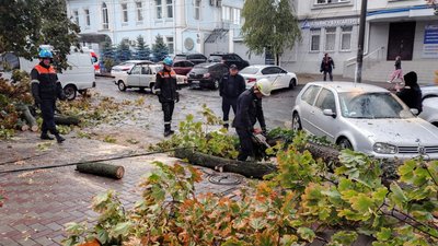 Рятувальники пиляють повалені дерева