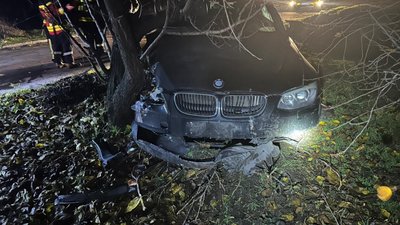 ДТП у Запоріжжі 22 листопада: авто врізалось у дерево