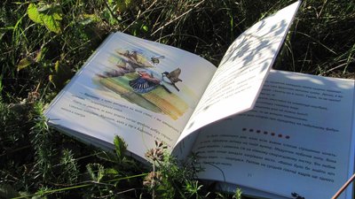 "Повчальні пригоди Медунчика": тернопільська журналістка написала книжку для дітей "Повчальні пригоди Медунчика": тернопільська журналістка написала книжку для дітей