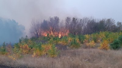 Пожежі в екосистемах: у Великобурлуцькому районі на Харківщині згоріли два будинки