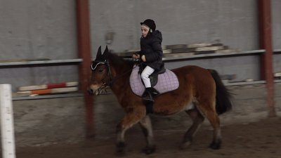 Демонстрували свою вправність: на Черкащині відбулись кінні змагання Демонстрували свою вправність: на Черкащині відбулись кінні змагання
