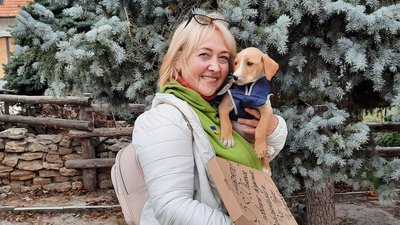 Виставка-прилаштування. У Миколаєві двадцять тварин знайшли собі нових господарів