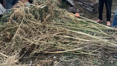 Не Тернопільщині затримали чоловіків, яких підозрюють у продажі наркотиків Не Тернопільщині затримали чоловіків, яких підозрюють у продажі наркотиків