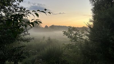 Погода на Рівненщині