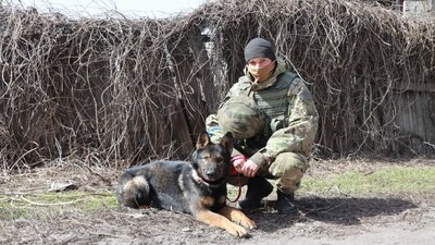 На Донеччині службові собаки допомогли знайти більше тисячі вибухових пристроїв