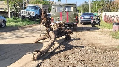 У селі на Одещині злива затопила будинки та вулиці. На місці працюють військові та рятувальники У селі на Одещині злива затопила будинки та вулиці. На місці працюють військові та рятувальники