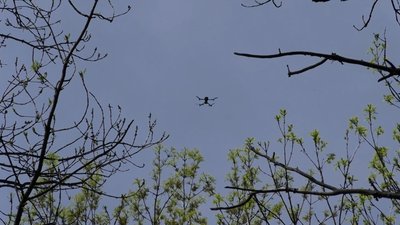 Стало більше безпілотників. Нацгвардієць розказав про бої під Кремінною на Луганщині Стало більше безпілотників. Нацгвардієць розказав про бої під Кремінною на Луганщині