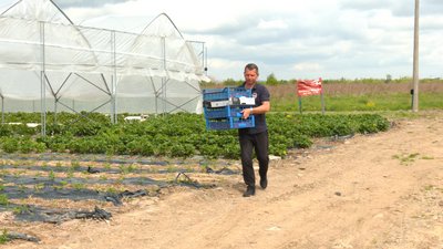 Прикарпатське підприємство увійшло до 50 кращих ягідних господарств України Прикарпатське підприємство увійшло до 50 кращих ягідних господарств України