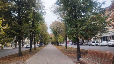 Алея на бульварі Шевченка у Черкасах