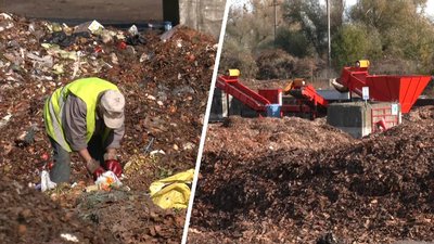 Львів'ян закликають сортувати органіку та привозити на переробку листя