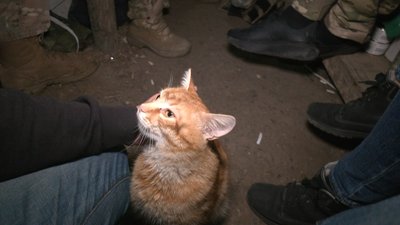 "Він стріляє дуже чітко. Точно в ціль": як працюють мінометники на Запорізькому напрямку "Він стріляє дуже чітко. Точно в ціль": як працюють мінометники на Запорізькому напрямку