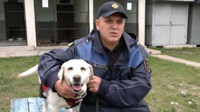 Кінолог розповів про те, як працює із собакою