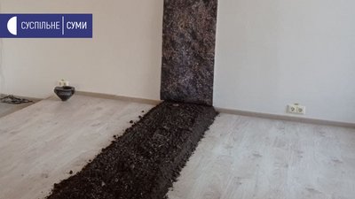 Посіяли пшеницю на підлозі виставкової зали: інсталяція харківської мисткині у Сумах Посіяли пшеницю на підлозі виставкової зали: інсталяція харківської мисткині у Сумах