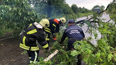 Негода на Волині повалила дерева і зірвала дахи з хат та готелю