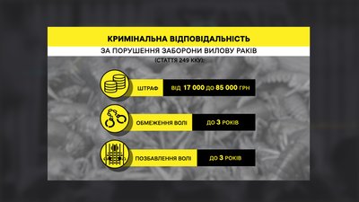 На Полтавщині запровадять заборону на вилов раків: коли діятиме та чому