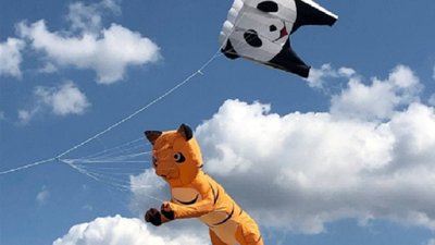 Херсонка стала абсолютною чемпіонкою України з кайт-флаінгу -2021 Херсонка стала абсолютною чемпіонкою України з кайт-флаінгу -2021