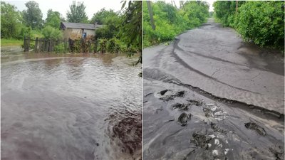 У селі Сасівка на Кіровоградщині злива затопила вулиці та змила городину