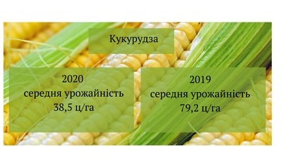 Низькі врожаї: аграрії Черкащини продовжують збір зернових культур Низькі врожаї: аграрії Черкащини продовжують збір зернових культур