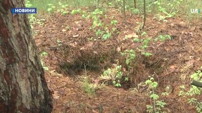 На Коропщині 2 роки не можуть перепоховати останки двох солдатів Другої Світової На Коропщині 2 роки не можуть перепоховати останки двох солдатів Другої Світової