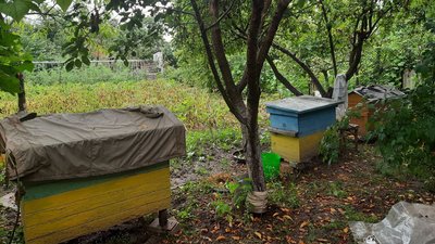 30 років саджав злочинців, а тепер саджає квіти. 30 років саджав злочинців, а тепер саджає квіти.