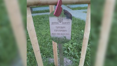 "Присвятити одне дерево трьом загиблим — це неповага". Чому пам'ятна алея в Кропивницькому не влаштовує рідних бійців "Присвятити одне дерево трьом загиблим — це неповага". Чому пам'ятна алея в Кропивницькому не влаштовує рідних бійців