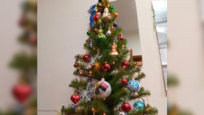 Як виглядають ялинки мешканців Сумщини за 30 км від кордону з РФ Як виглядають ялинки мешканців Сумщини за 30 км від кордону з РФ