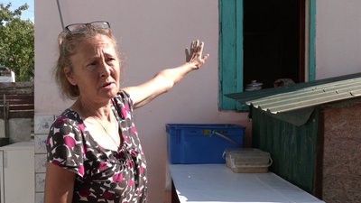 Внаслідок удару армії РФ по Рівному був пошкоджений притулок для собак Внаслідок удару армії РФ по Рівному був пошкоджений притулок для собак