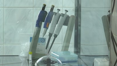 ПЛР-тест за 4 години. При обласній інфекційній лікарні в Івано-Франківську відкрили нову лабораторію ПЛР-тест за 4 години. При обласній інфекційній лікарні в Івано-Франківську відкрили нову лабораторію