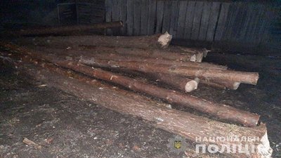 Вісім сосен незаконно вирубав житель Борщівщини: сума збитків - 24 тисячі гривень