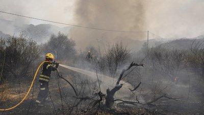 На півночі Іспанії палає лісова пожежа: 1500 людей евакуювали