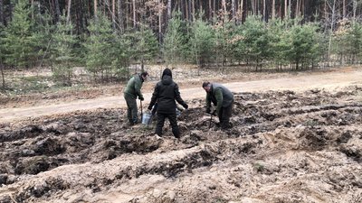 Лісівники Полтавщини весною планують висадити більше трьох мільйонів саджанців Лісівники Полтавщини весною планують висадити більше трьох мільйонів саджанців