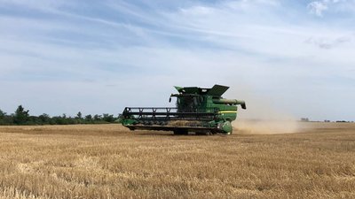 В Одеській області завершують жнива. Аграрії сподіваються на 60% від торішнього врожаю В Одеській області завершують жнива. Аграрії сподіваються на 60% від торішнього врожаю