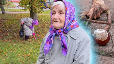 Збирає каштани: 80-річна жінка з Новгорода-Сіверського здає каштани, щоб купити ліки