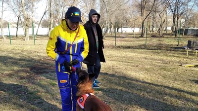 Вівчарка Беша з Павлограда стала призеркою світового чемпіонату собак-шукачів Вівчарка Беша з Павлограда стала призеркою світового чемпіонату собак-шукачів
