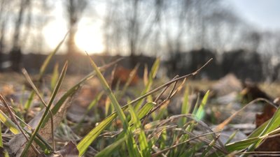 Невеликий дощ та 17° тепла: якою буде погода на Харківщині на вихідних