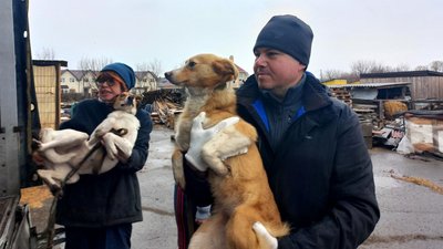 Частину тварин із сумського притулку евакуюють до Польщі Частину тварин із сумського притулку евакуюють до Польщі