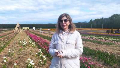 35 км від Луцька: на Волині стартував фестиваль тюльпанів "Волинська Голландія" 35 км від Луцька: на Волині стартував фестиваль тюльпанів "Волинська Голландія"