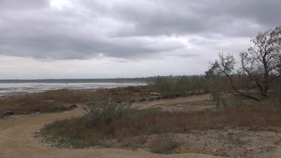 Вміст цинку та свинцю у воді Куяльницького лиману на Одещині перевищує норму у п’ять разів Вміст цинку та свинцю у воді Куяльницького лиману на Одещині перевищує норму у п’ять разів