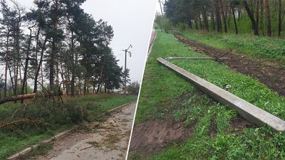 повалені дерева та стовпи