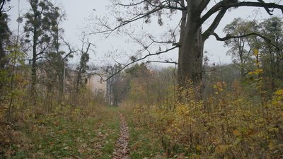 У Вінниці окреслюють межі Пʼятничанського парку У Вінниці окреслюють межі Пʼятничанського парку